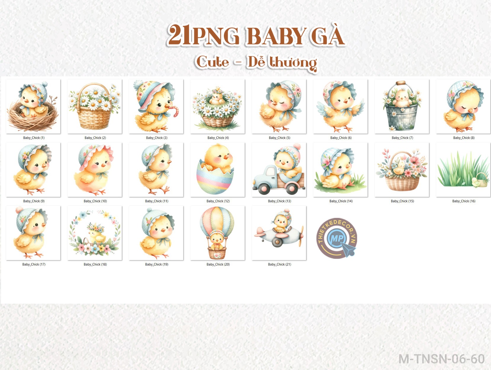 21PNG Bé Gà cute đáng yêu dễ thương Baby Chick