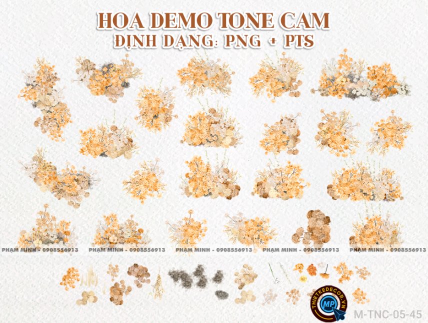 Hoa PNG cưới tone cam mix demo Gia tiên, cổng cưới, photobook cưới.